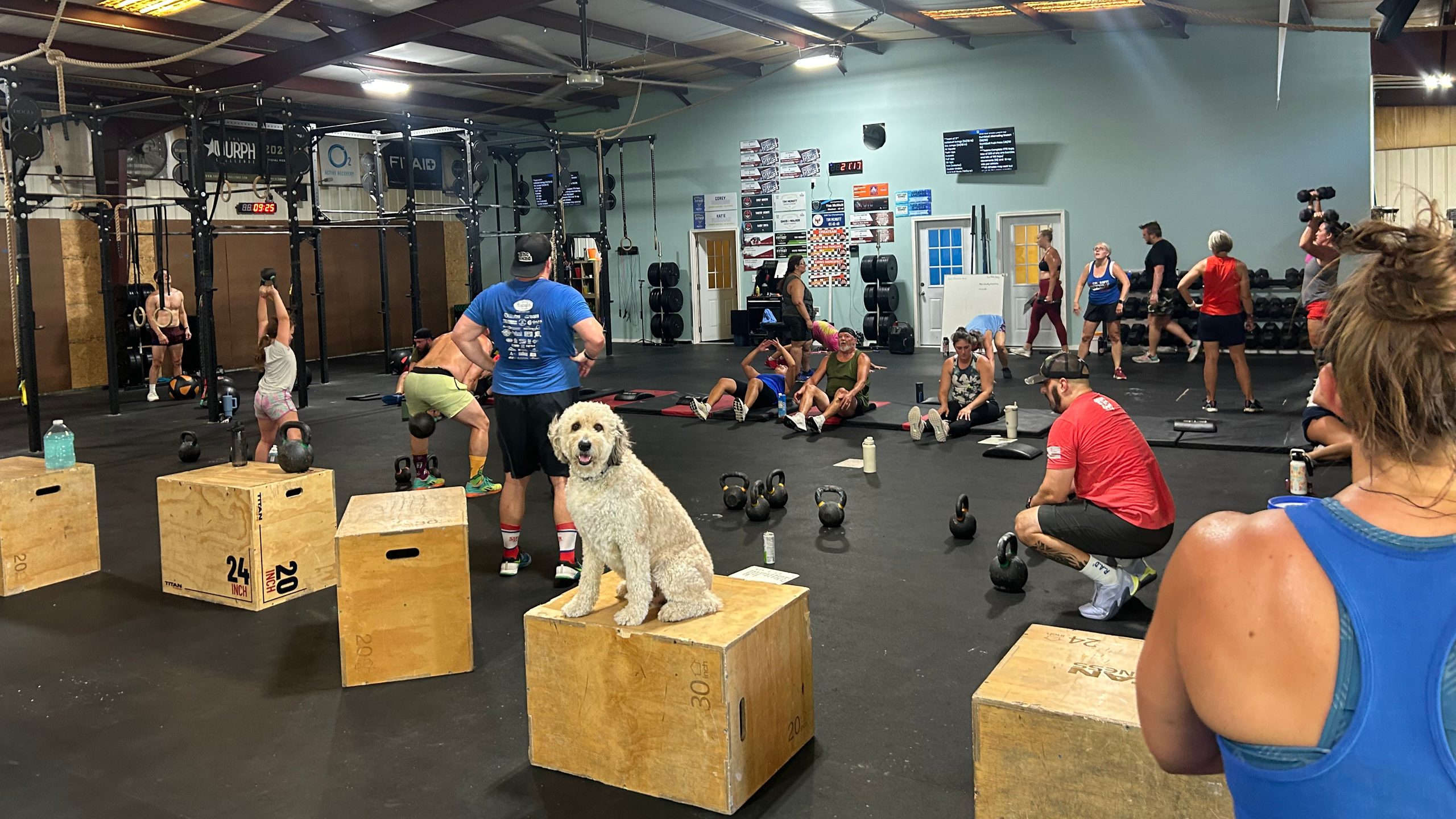 Members training together on the main floor at Lodestar Fitness in Lexington, South Carolina